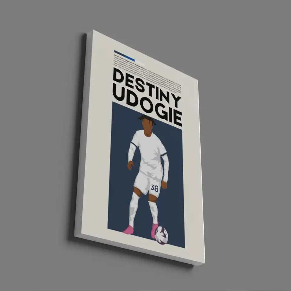 Destiny Udogie Tottenham - Minimalist