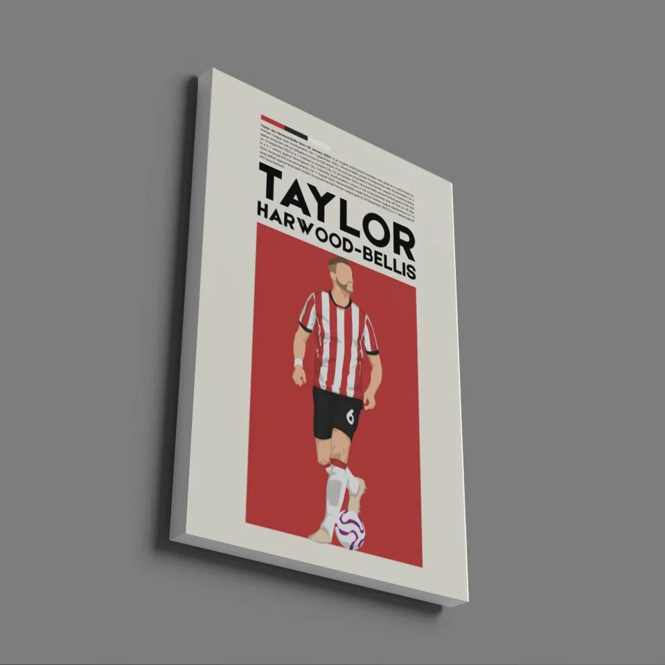 Taylor Harwood-Bellis Southampton - Minimalist